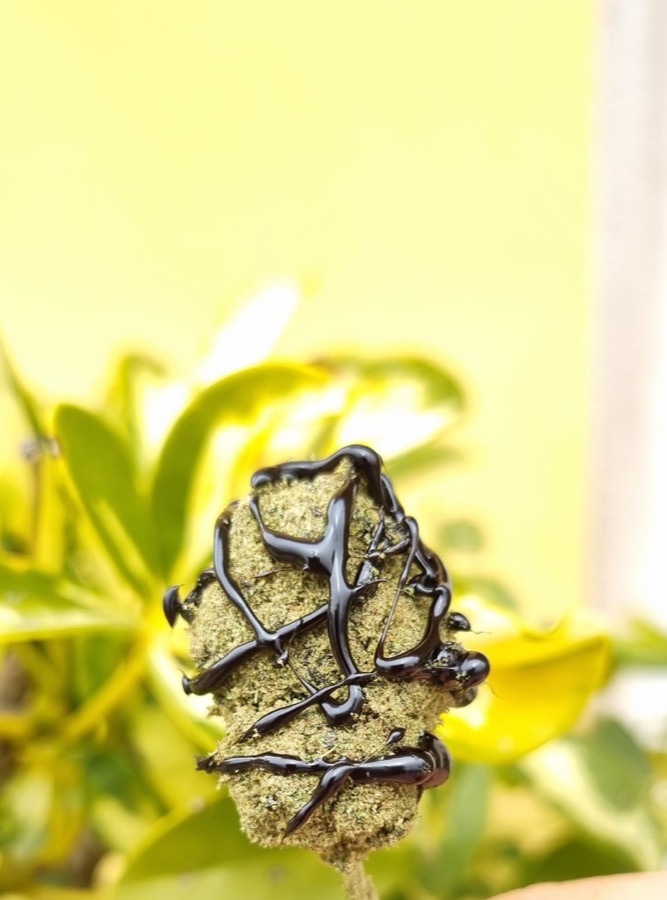 HempX product photo